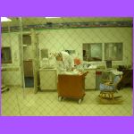 Checking Ava Out.jpg